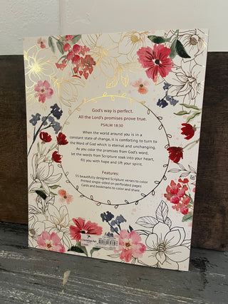 Christian Art Gifts Coloring Book The Promises of God