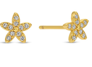 Splendid Iris Gold Flower Earring