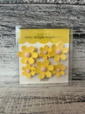 The Darling Effect Daisy Delight Magnet Set