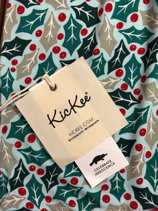 KicKee Spring Sky Holly Print Long Sleeve Swing Dress