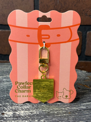 The Darling Effect Collar Charm-Sit for Treats