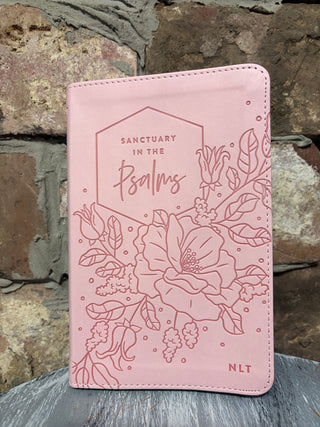 Dayspring NLT Sanctuary In The Psalms