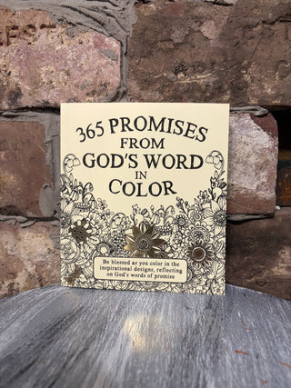 Christian Art Gifts Coloring Devotional 365 Promises God's Word in Color