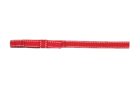 Banded Skinny Bow Red Bandeau